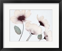 Blooming Youth 1 Framed Print