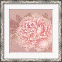 Framed Spring Eden Peony 2