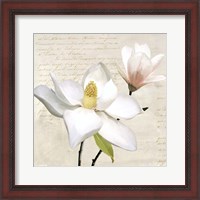Framed Ivory Magnolia I