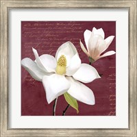 Framed Burgundy Magnolia I