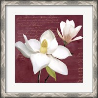 Framed Burgundy Magnolia I