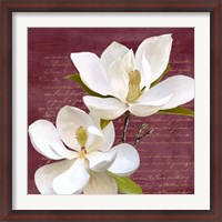 Framed Burgundy Magnolia II