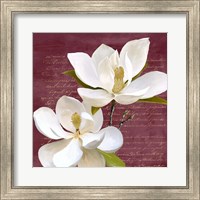 Framed Burgundy Magnolia II