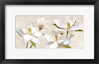 Framed Ivory Magnolia