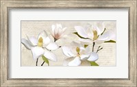 Framed Ivory Magnolia