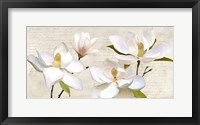 Framed Ivory Magnolia