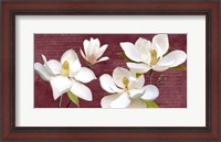 Framed Burgundy Magnolia