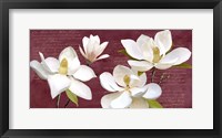 Framed Burgundy Magnolia