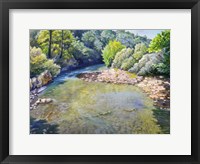 Framed Ansa nel torrente