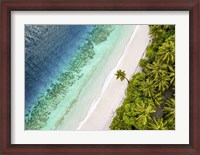 Framed Tropical Beach, Aerial View
