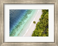Framed Tropical Beach, Aerial View