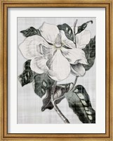 Framed Southern Magnolia 1