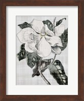 Framed Southern Magnolia 1