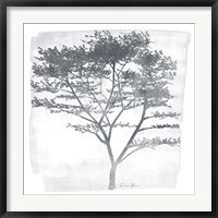 Framed Tree 1