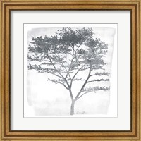 Framed Tree 1