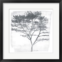 Tree 1 Framed Print