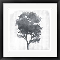 Tree 2 Framed Print