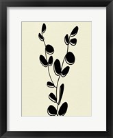 Natural 3 Framed Print