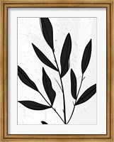 Framed Plaster Leaves 1