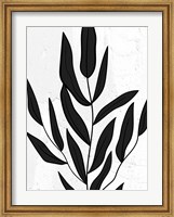 Framed Plaster Leaves 2