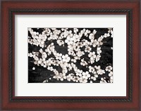 Framed Magnolia Branches