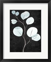 Stems 2 Framed Print