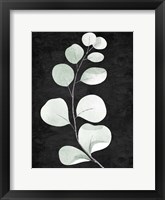 Stems 1 Framed Print