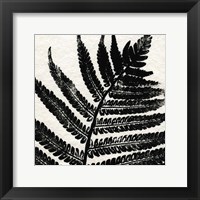 Framed Pressed Fern 1