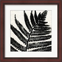 Framed Pressed Fern 1