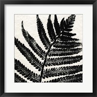 Framed Pressed Fern 1