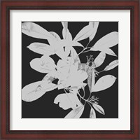 Framed Botanical Dark 1