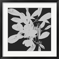 Framed Botanical Dark 1