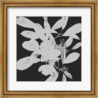 Framed Botanical Dark 1