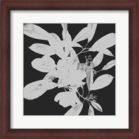 Framed Botanical Dark 1