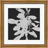 Framed Botanical Dark 2