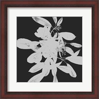 Framed Botanical Dark 2