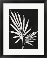 Silhouetted Growth Framed Print