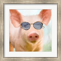 Framed Sun Glasses Pig