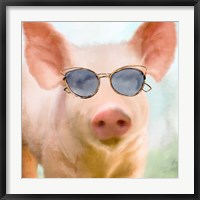 Framed Sun Glasses Pig
