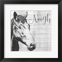 Neigh Framed Print