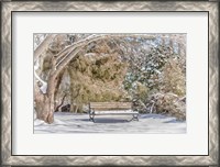 Framed Arboretum 1