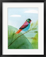 Framed Colorful Birds IV