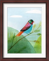Framed Colorful Birds IV