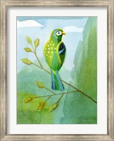 Framed Colorful Birds III