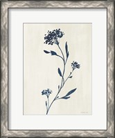 Framed Simple Nature IV Indigo Cream