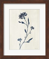 Framed Simple Nature IV Indigo Cream