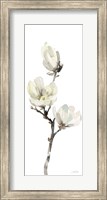 Framed White Magnolia I Panel