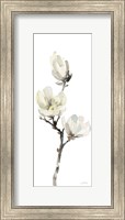 Framed White Magnolia I Panel