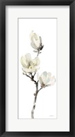 Framed White Magnolia I Panel