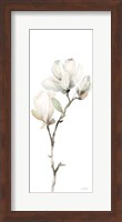 Framed White Magnolia II Panel